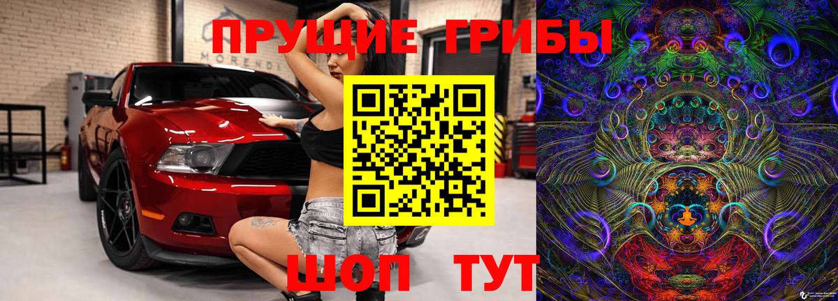 Псилоцибиновые грибы мицелий Сочи