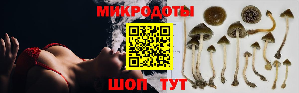 Псилоцибиновые грибы ЛСД  купить наркоту  Сочи  Вход с VPN 